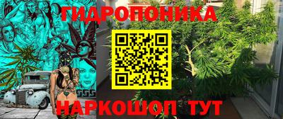 соль ск Партизанск