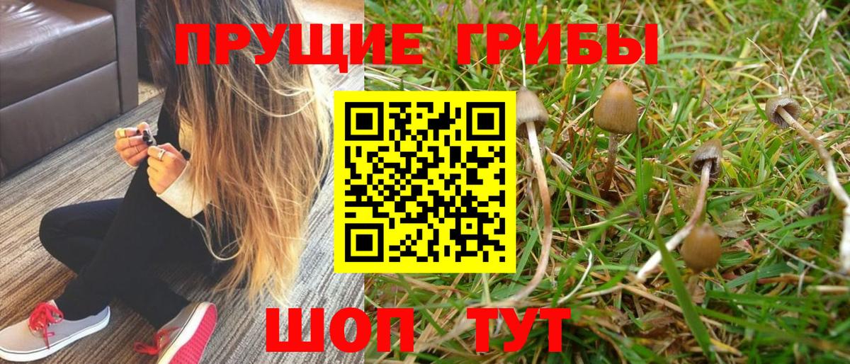Новотроицк  Псилоцибиновые грибы GOLDEN TEACHER  купить  сайты  Вход с VPN 