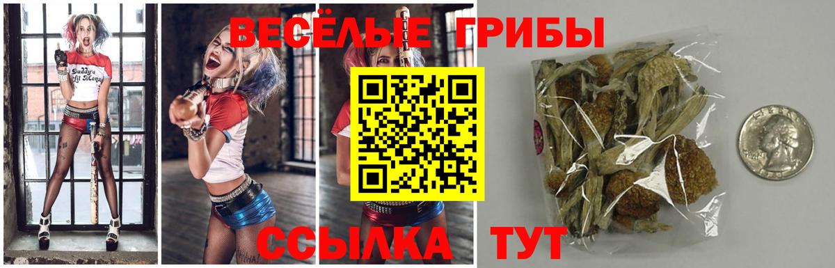 Псилоцибиновые грибы ЛСД Новотроицк